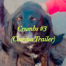 Crumbs #3