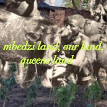 mbedzi land, our land, queens land
